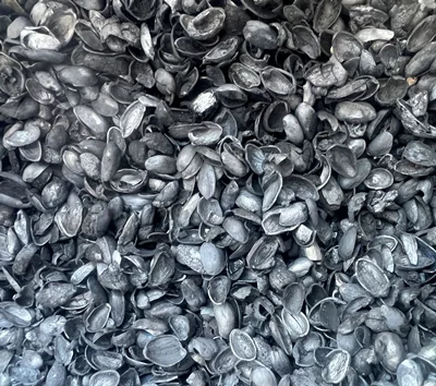 کربن پوست پسته