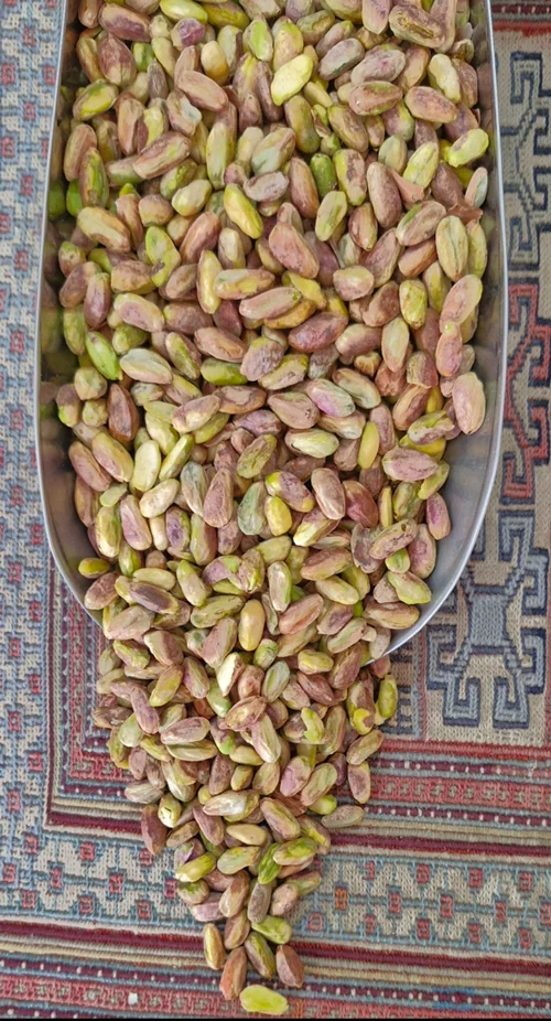 مغز توآبی اکبری نمونه2