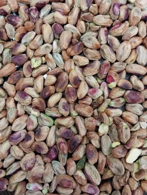 مغز دهنبست شکن