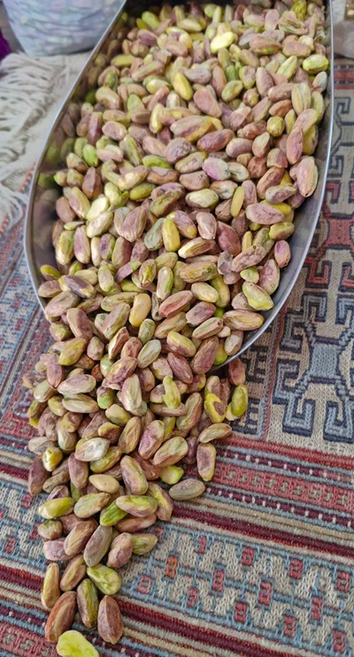 مغز اکبری توآبی نمونه۲