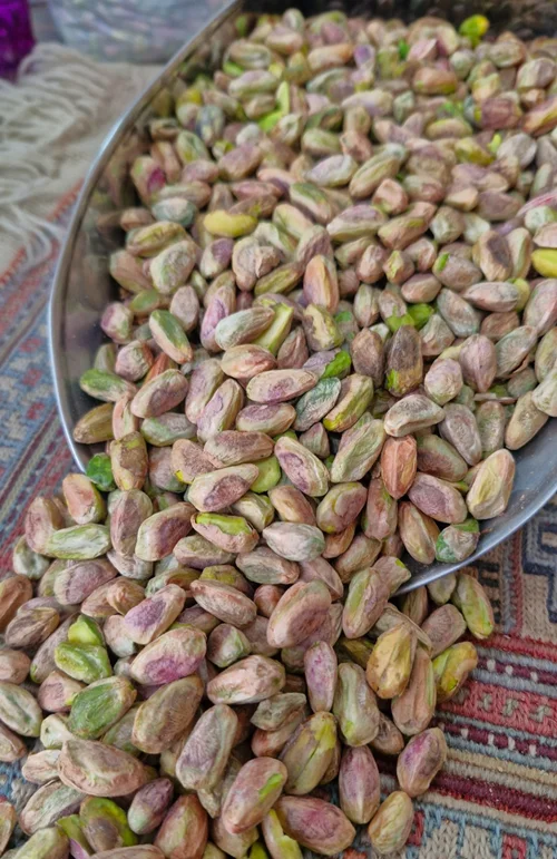 مغز پسته توآبی نمونه1