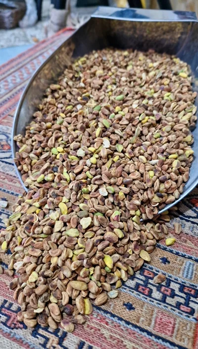 مغز پسته گندمی