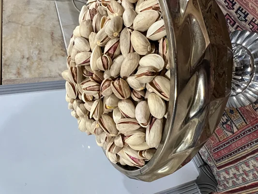 پسته اکبری انس ۲۲-۲۴