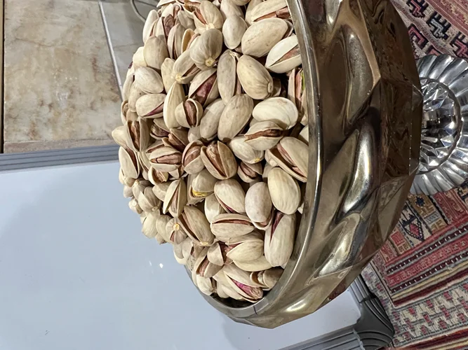 پسته اکبری انس ۲۲-۲۴