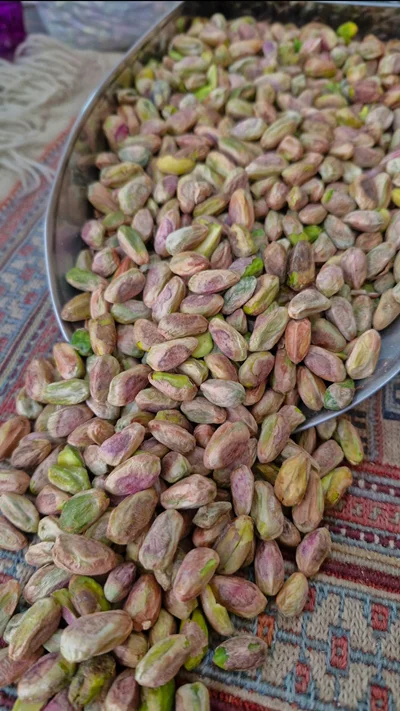 مغز اکبری توآبی نمونه یک