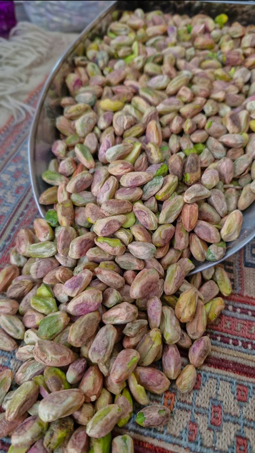 مغز اکبری توآبی نمونه یک